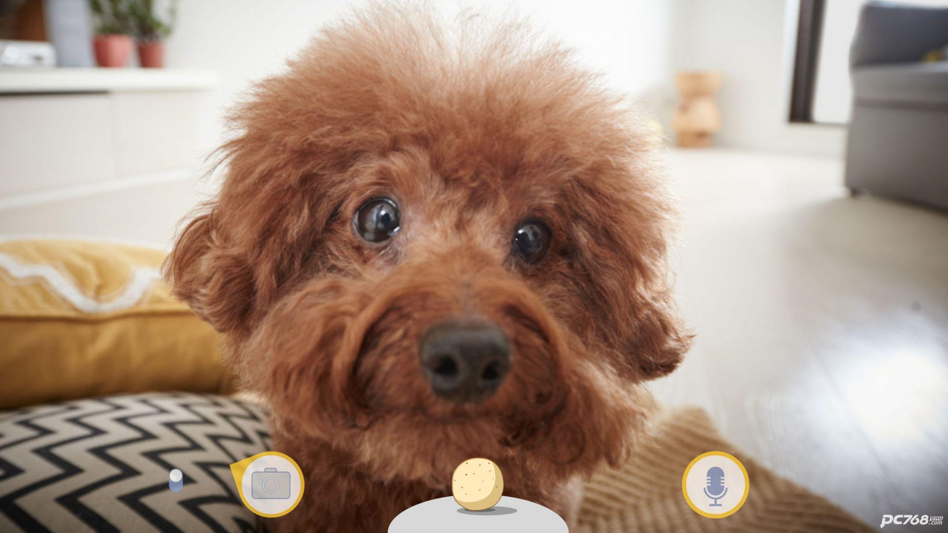 Furbo狗狗摄像机