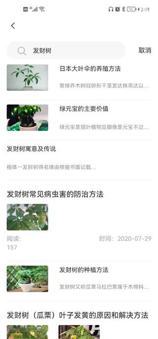 花医生