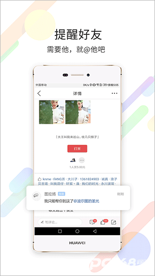 茶竹永川网