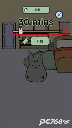 Study Bunny