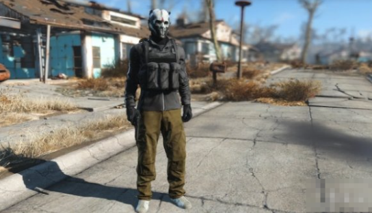 《辐射4》掠夺者头部装备替换MOD