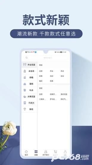 娟蝶鲜花