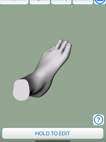 handmodel绘画辅助