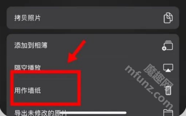 拉布布动态壁纸