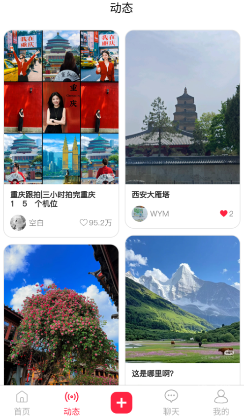 杉选在场