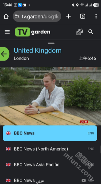 tv garden