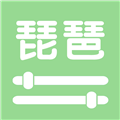 智能琵琶调音器