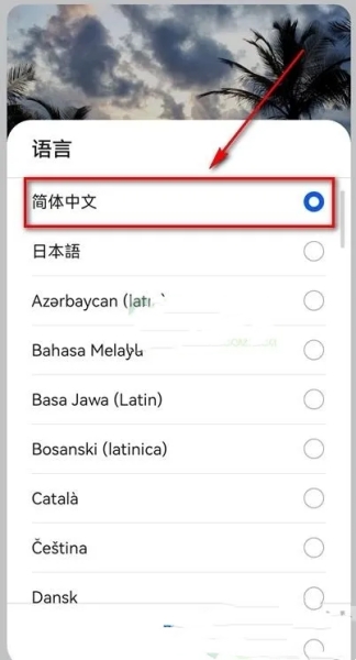 油管