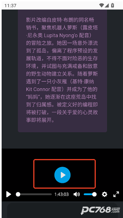 磁力熊影院