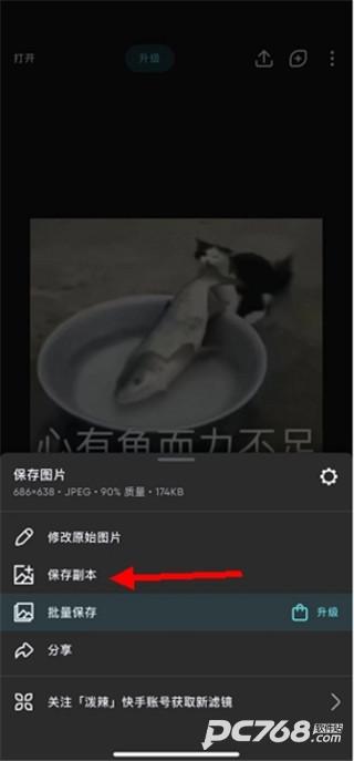 Polarr