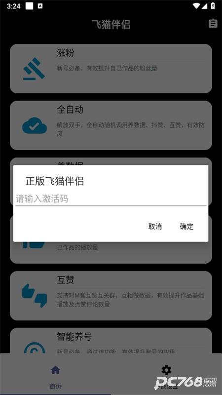 飞猫伴侣