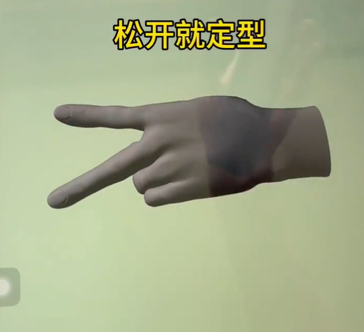 handmodel安卓版