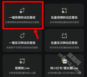 拉布布动态壁纸