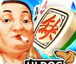 哈狗三缺一义乌版 v5.0