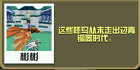 疯狂动物园国际服2025