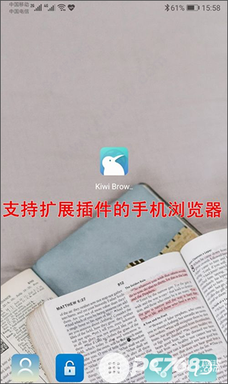 kiwibrowser浏览器