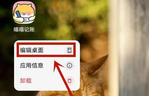喵喵记账app