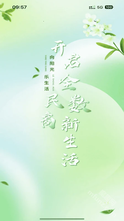 树拍易购