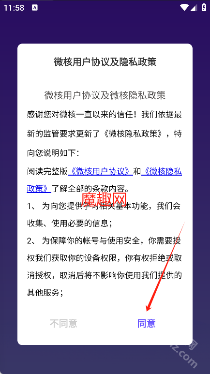 微核