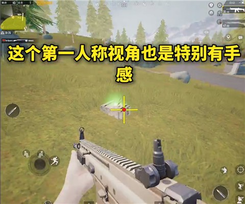 画质MxPro2025