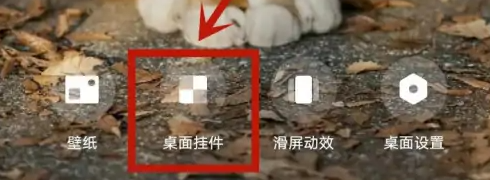 喵喵记账app