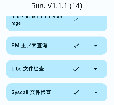 ruru环境检测