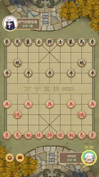 万宁象棋免广告版