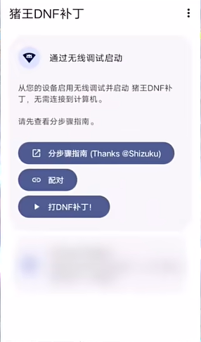 猪王DNF手游补丁