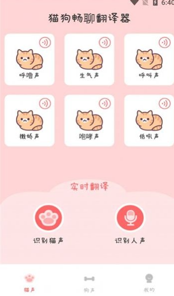 猫狗畅聊翻译器