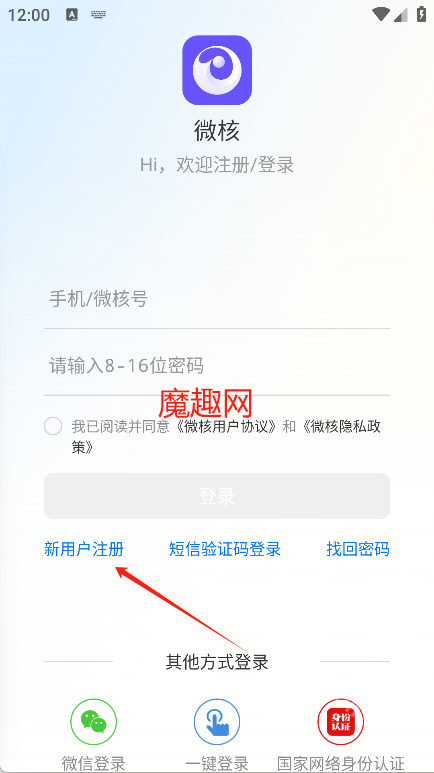 微核
