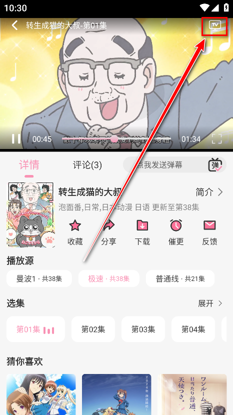 曼波动漫