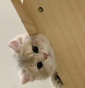 陌陌工具箱
