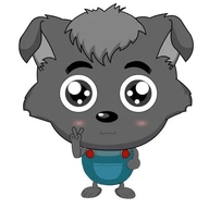 小灰灰直装