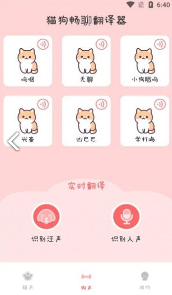 猫狗畅聊翻译器