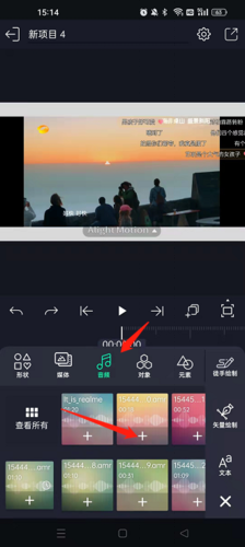 am凉笙正版