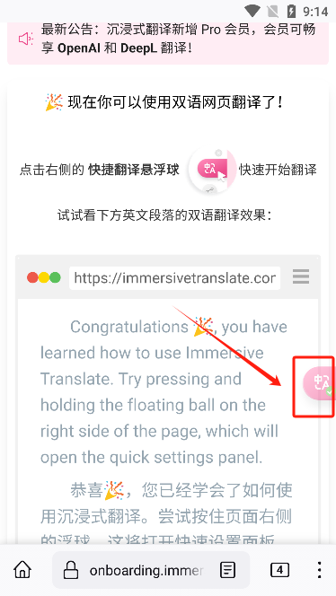 沉浸式翻译