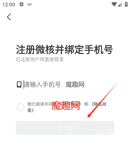 微核