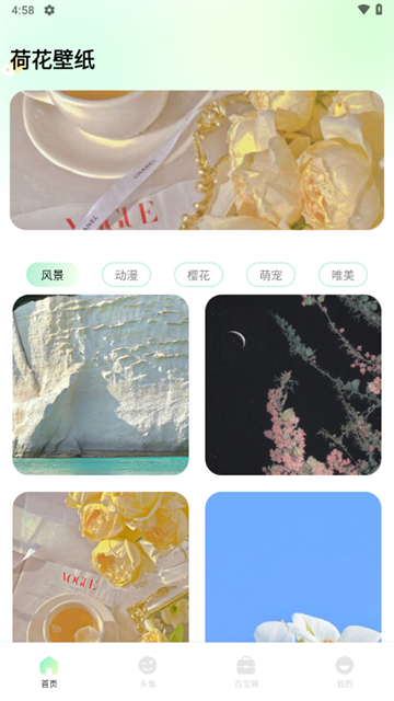 荷花壁纸