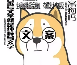 表情文案狗app