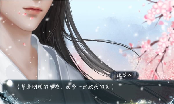 养只梅花当妻子内置菜单截图