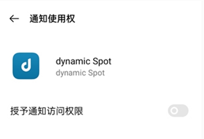 DynamicSpot