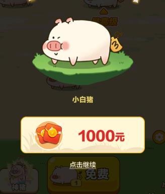 猪猪多多