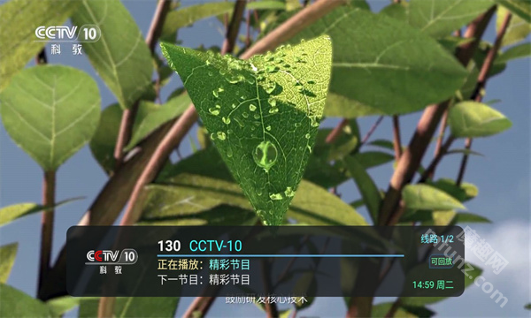 全球tv