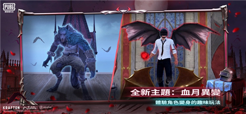 茶茶直装