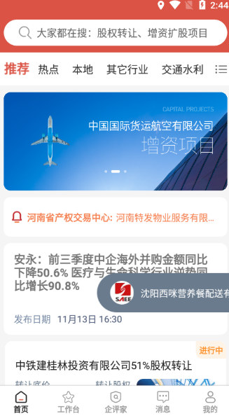 塔米狗