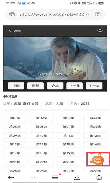 茶杯狐