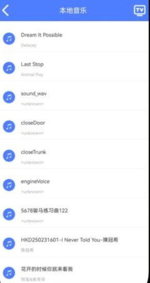 多多投屏