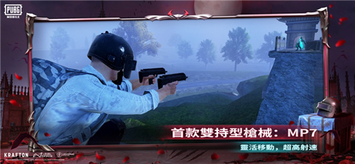 茶茶直装