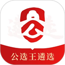 公选王遴选