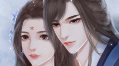 夫君个个不省心 3.1